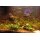 Aquarium 3 D Rückwand Aquariumrückwand Rock 50x30cm bis 200x60cm
