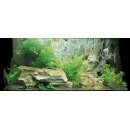 Aquarium 3 D Rückwand Aquariumrückwand Struktur 50x30cm bis 200x60cm