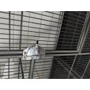 Vogelkäfig Voliere Birdiemaxx 164x54x156cm