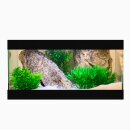 Easy Rocks Komplettaquarium 50x30x25cm Rock