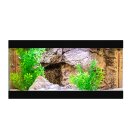 Easy Rocks Komplettaquarium 50x30x25cm Cave