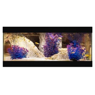 Easy Rocks Komplettaquarium 60x35x25cm Rock