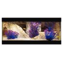 Easy Rocks Komplettaquarium 60x35x25cm Rock