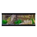 Easy Rocks Komplettaquarium 80x40x30cm Cave